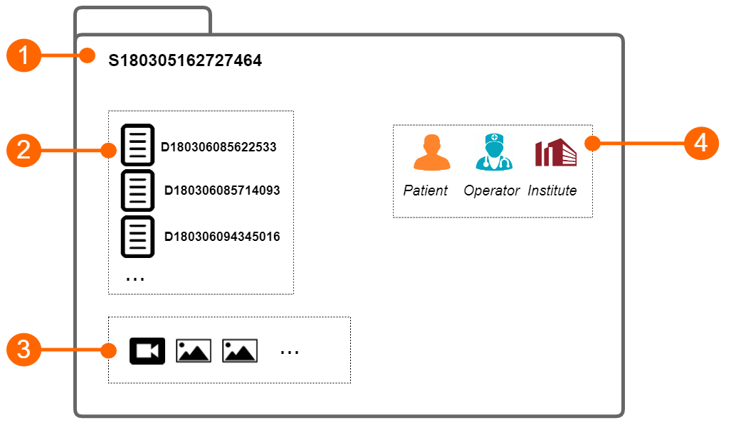 cvs_study_scheme_gliffy_EN